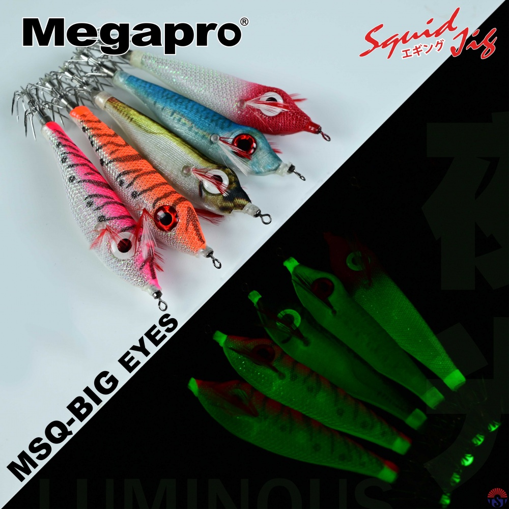 squid_jig_msq_fb_02_168763110